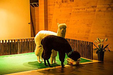 黄油吐司猫永动机 解密游戏《Cato》上线Steam页面